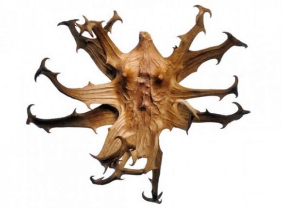 Hondrox contains devil's claw root extract